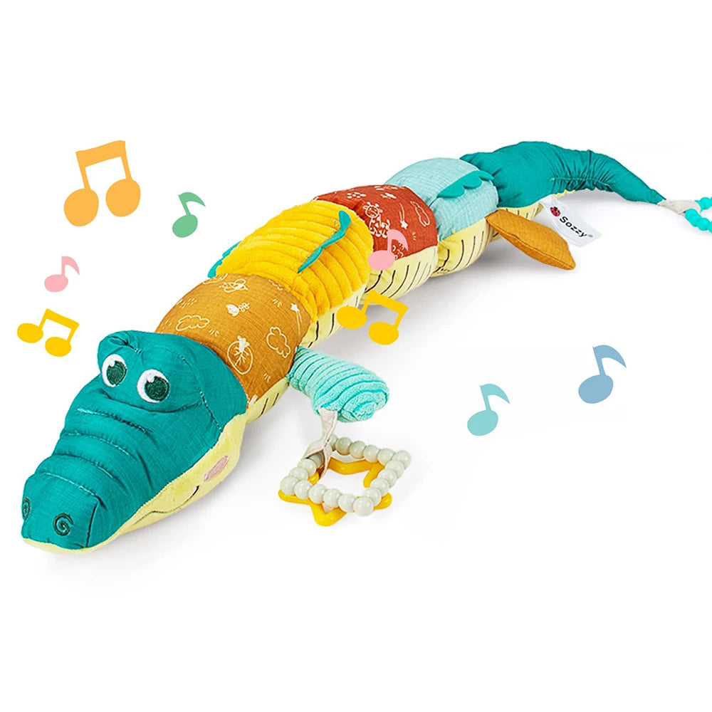 Musical Caterpillar Plush Rattle